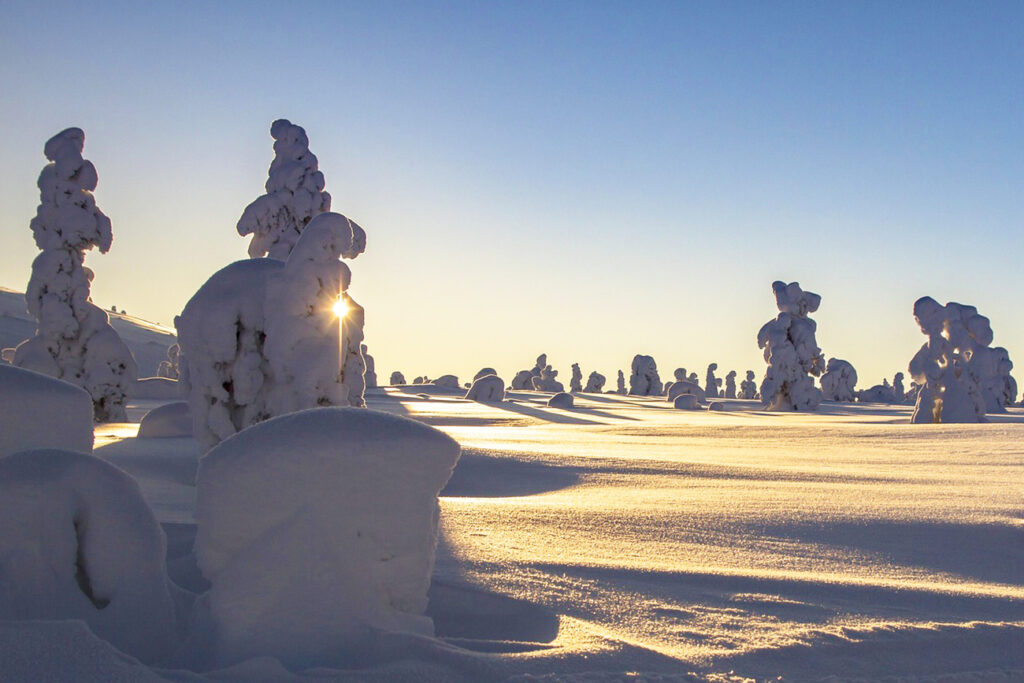 The best places to travel in December