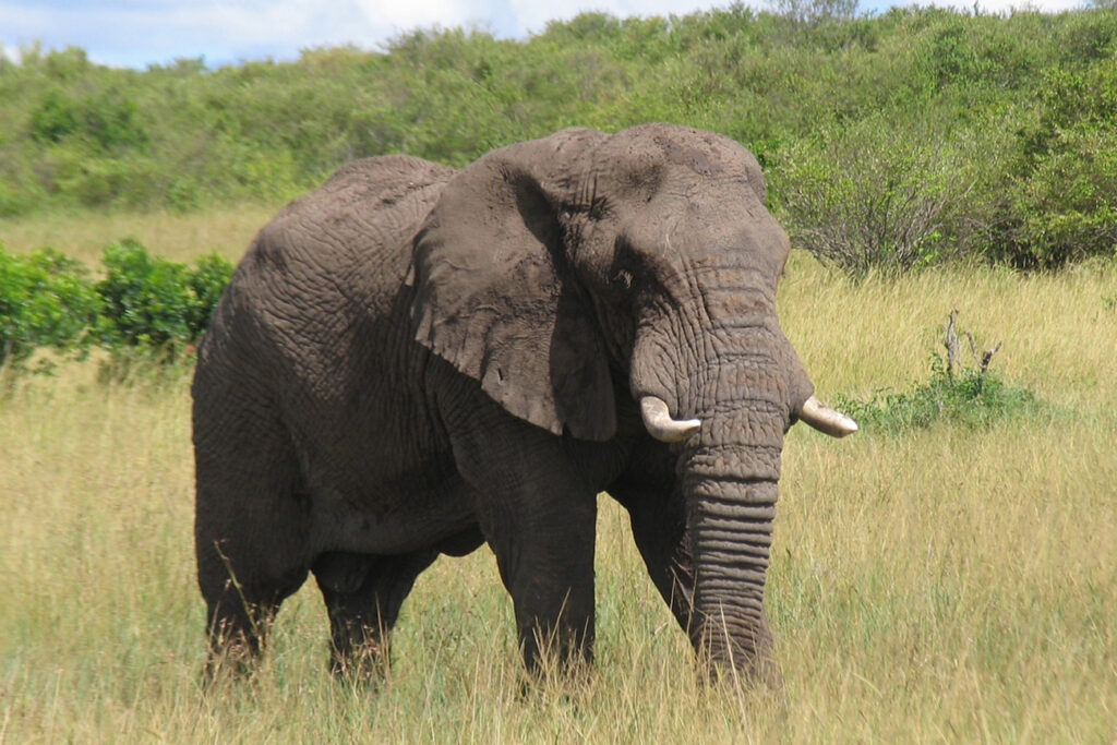 best places to visit in august