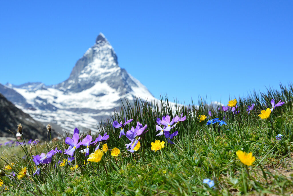 where to travel in June? Swiss Alps, Switzerland